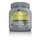 PUMP XPLODE POWDER - 300 g