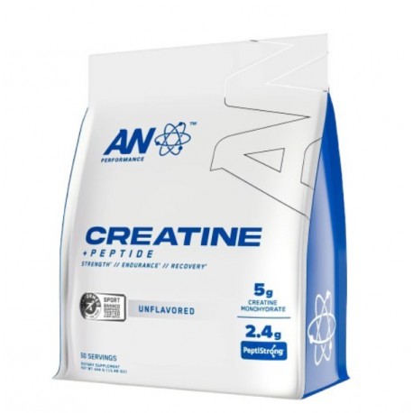 Optimum Nutrition Micronised Creatine Powder 317g