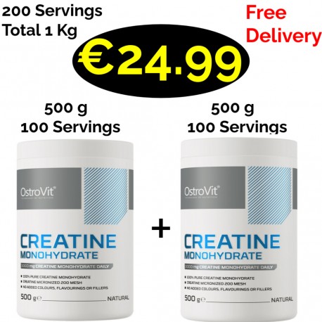 Optimum Nutrition Micronised Creatine Powder 317g