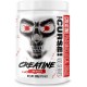 Optimum Nutrition Micronised Creatine Powder 317g