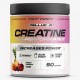 Optimum Nutrition Micronised Creatine Powder 317g