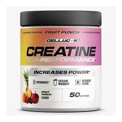 Optimum Nutrition Micronised Creatine Powder 317g