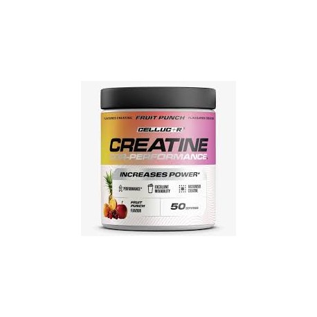 Optimum Nutrition Micronised Creatine Powder 317g