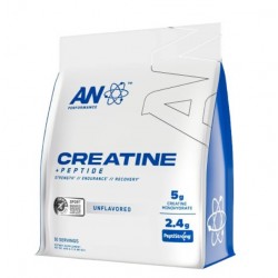 Optimum Nutrition Micronised Creatine Powder 317g