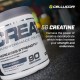 Optimum Nutrition Micronised Creatine Powder 317g