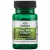 Swanson Ginkgo Biloba Extract 60 mg 30 Caps - 30 Servings