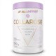 Yava Labs Collagen Hyaluronic Acid 400g