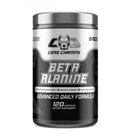 One Protein Beta Alanine