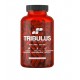 Gaspari Tribulus 90 Caps