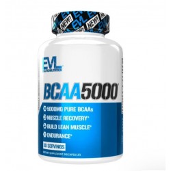 BCAA PLUS 2:1:1 with vitamin B6 90 Tabs