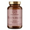 ALL NUTRITION Lion's Mane 60 Caps - 60 Servings