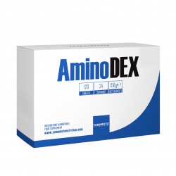 Yamamoto Nutrition AminoDex 120 Caplets - 24 Serving